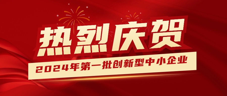 喜報(bào)！集團(tuán)獲認(rèn)定為2024年第一批創(chuàng)新型中小企業(yè) 