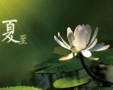 夏至節(jié)氣，廣西強壽藥業(yè)集團提醒您注意防暑降溫