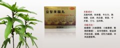 益智康腦丸治療什么病，益智康腦丸主治什么病